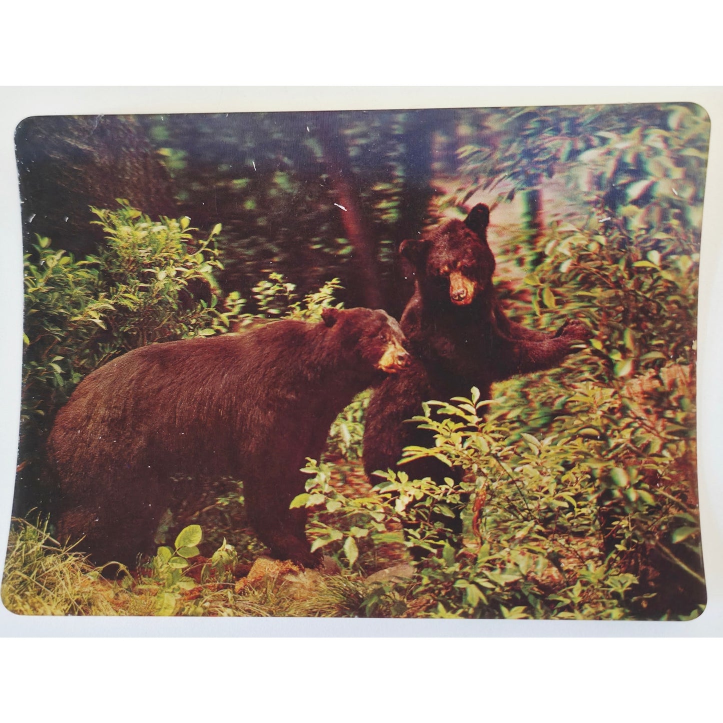 VINTAGE *NEW* 1960's 3-D Collector Series Super Dimension Postcards Set of 7