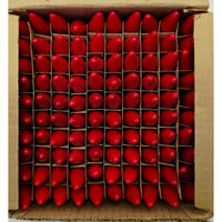 VINTAGE *NEW * Christmas Light Bulbs C6 Set of 100 - RED