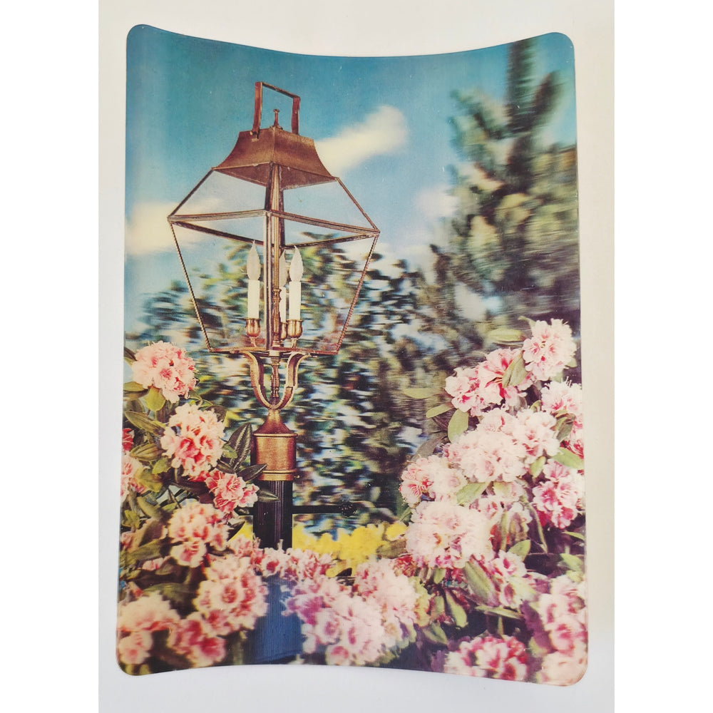 VINTAGE *NEW* 1960's 3-D Collector Series 'Bursting with Blossoms' Super Dimension Postcards Set of 6