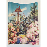 VINTAGE *NEW* 1960's 3-D Collector Series 'Bursting with Blossoms' Super Dimension Postcards Set of 6