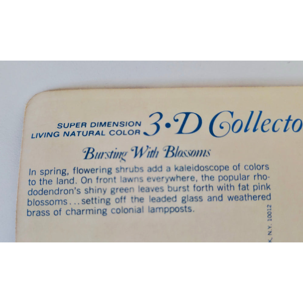 VINTAGE *NEW* 1960's 3-D Collector Series 'Bursting with Blossoms' Super Dimension Postcards Set of 6