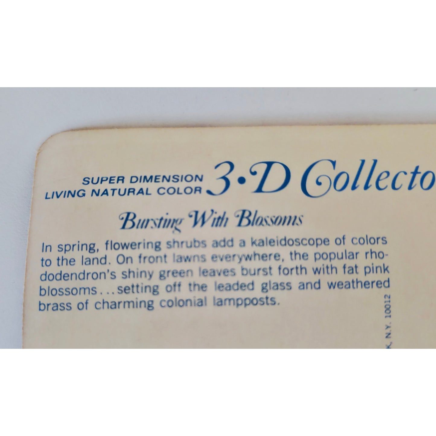 VINTAGE *NEW* 1960's 3-D Collector Series 'Bursting with Blossoms' Super Dimension Postcards Set of 6