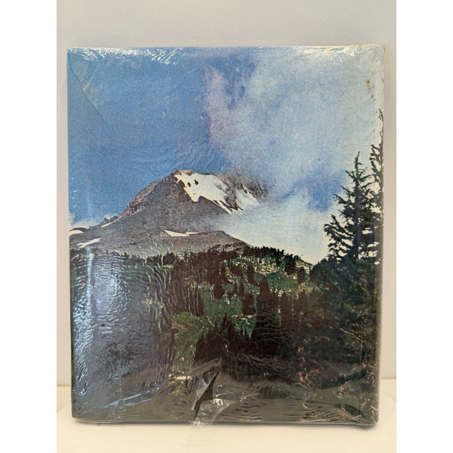 VINTAGE *NEW* 1960's Magnetic Photo Album 20 Pages Mountain Scene