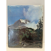VINTAGE *NEW* 1960's Magnetic Photo Album 20 Pages Mountain Scene