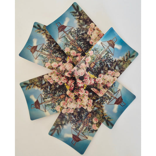 VINTAGE *NEW* 1960's 3-D Collector Series 'Bursting with Blossoms' Super Dimension Postcards Set of 6