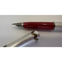 VINTAGE *NEW* 1960's Lady Sheaffer Brushed Steel Gold Accent Fountain Pen| Movie