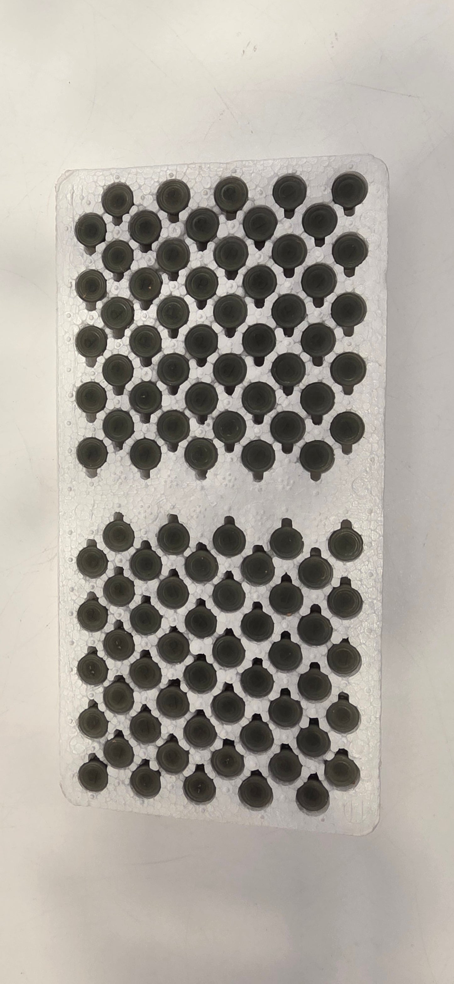 VINTAGE *NEW* Edge Import Super Loud .22 cal crimp blank cartridges 100 rounds